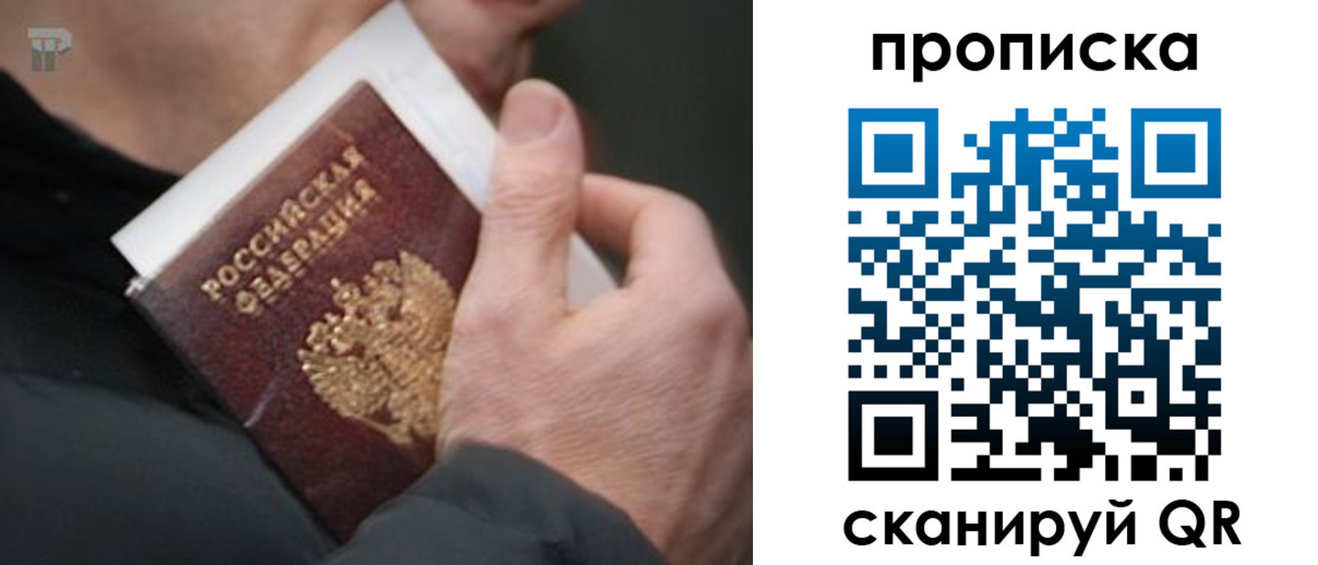временная регистрация гарантия в Тосно
